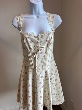 Floral Lace-Trim Corset Mini Dress with Pink Rose Print